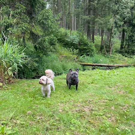 Апартаменты Boernert Am 