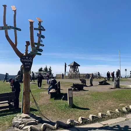 Börnert Am Klingerbach Apartment Tellerhäuser